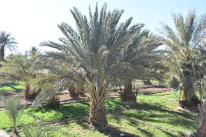 Parco della struttura