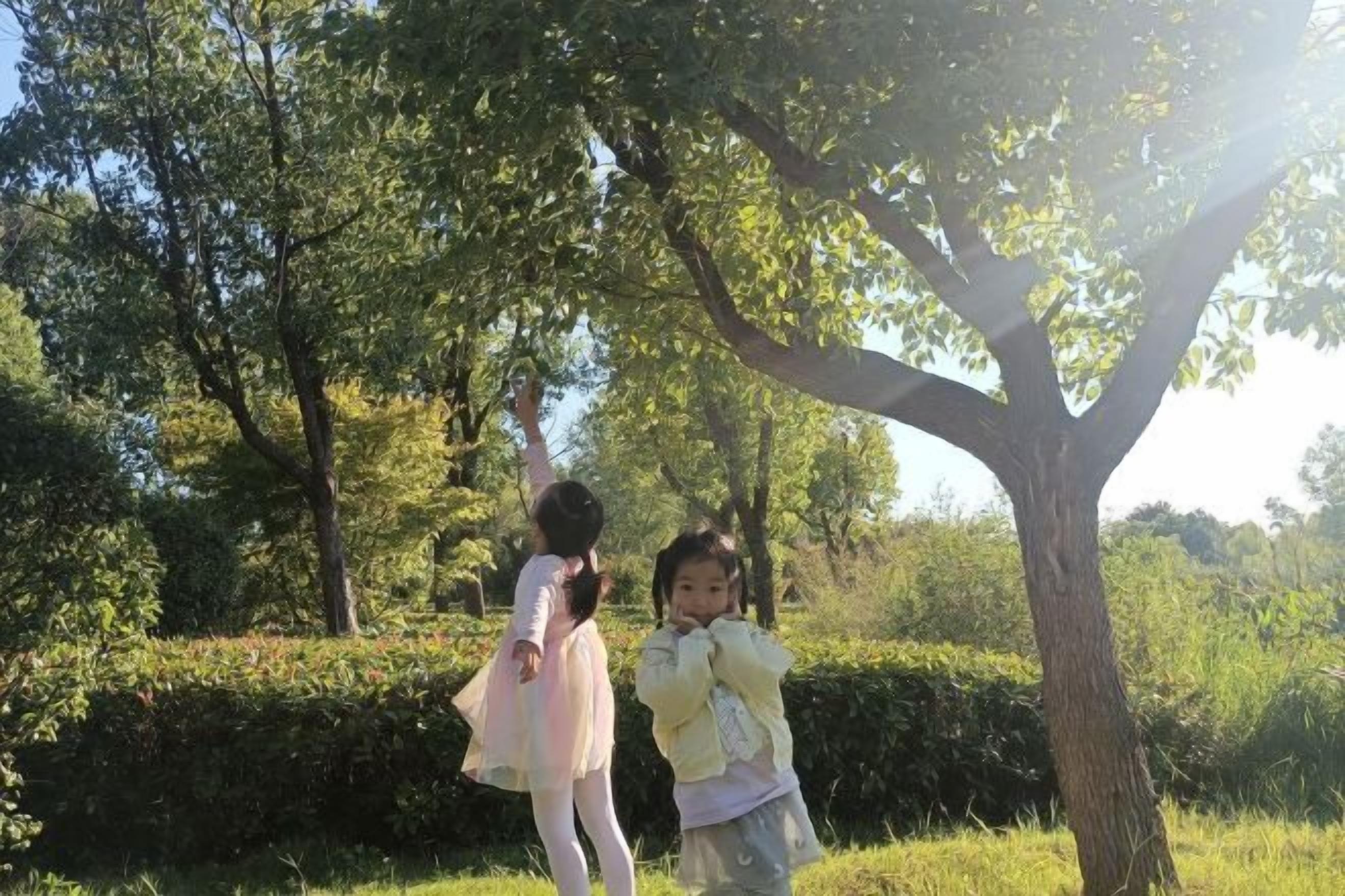 Dos niños jugando bajo un árbol en un parque.