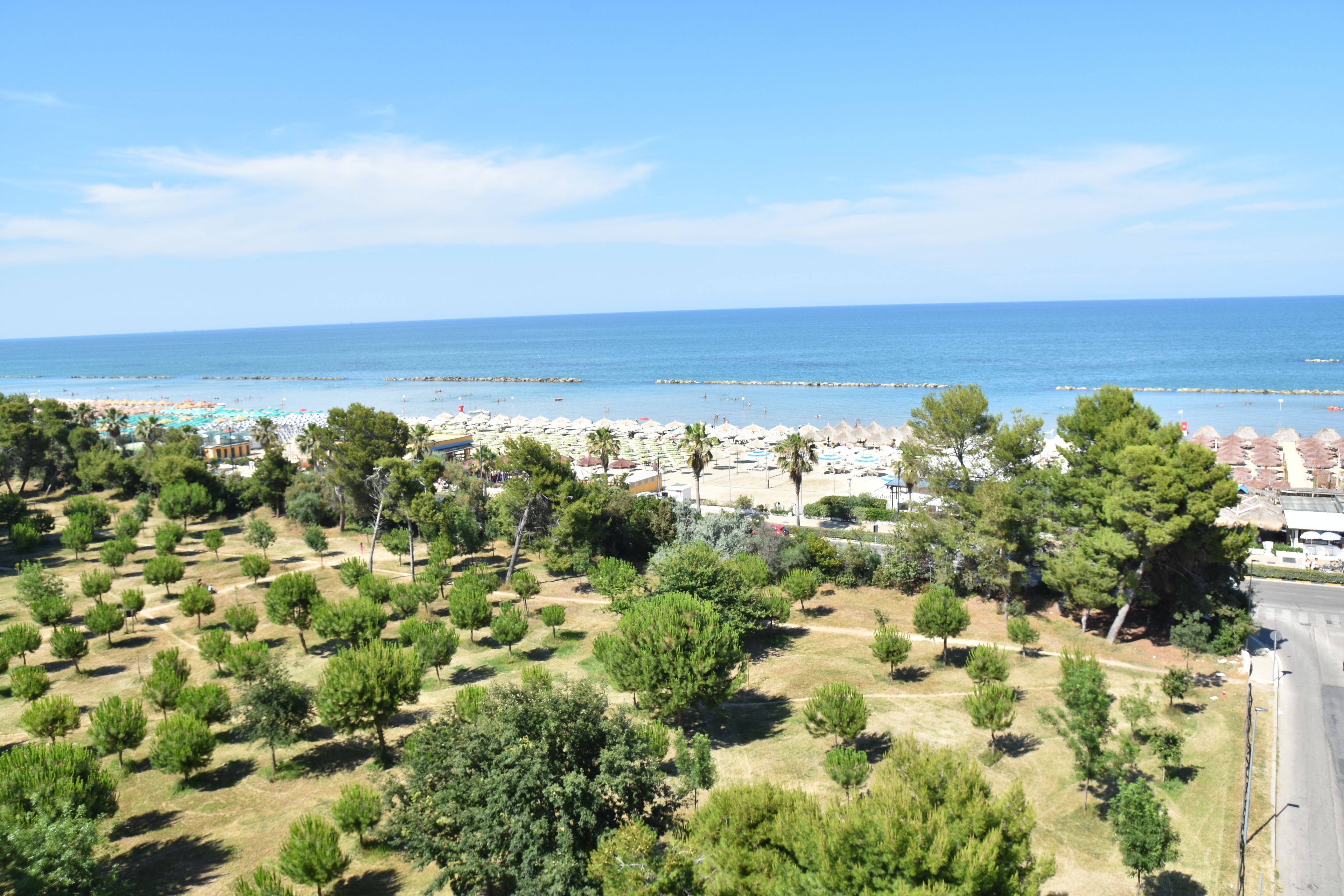 Una zona costanera amb una platja, palmeres i un cel serè.