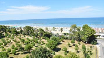 Une zone côtière avec une plage, des palmiers et un ciel dégagé.