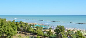Vistas desde la habitación
