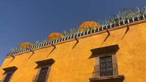 A building with a yellow facade, multiple windows, and a row of potted plants on the roof. - Villa Limon Hotel Boutique (San Miguel de Allende)