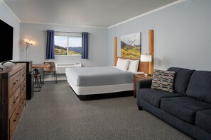 Basic Room, 1 King Bed, Non Smoking | In-room safe, blackout curtains, iron/ironing board, free WiFi