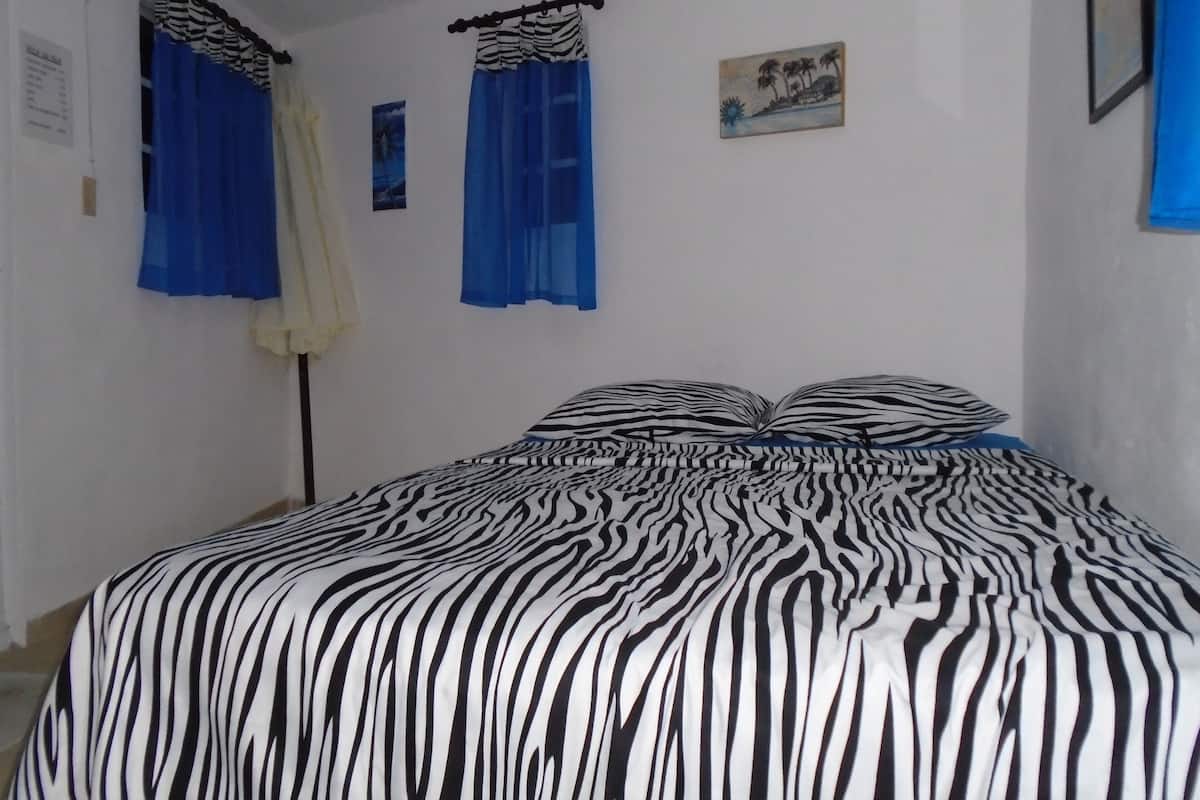 A bedroom with a zebra-striped bedspread, two blue curtains, a small framed picture, and a white wall.