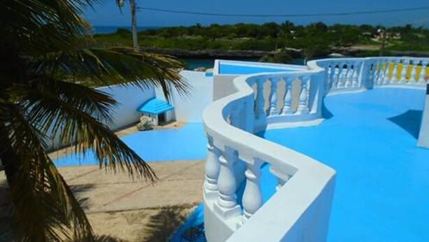 Piscina com balaustrada branca e uma palmeira.
