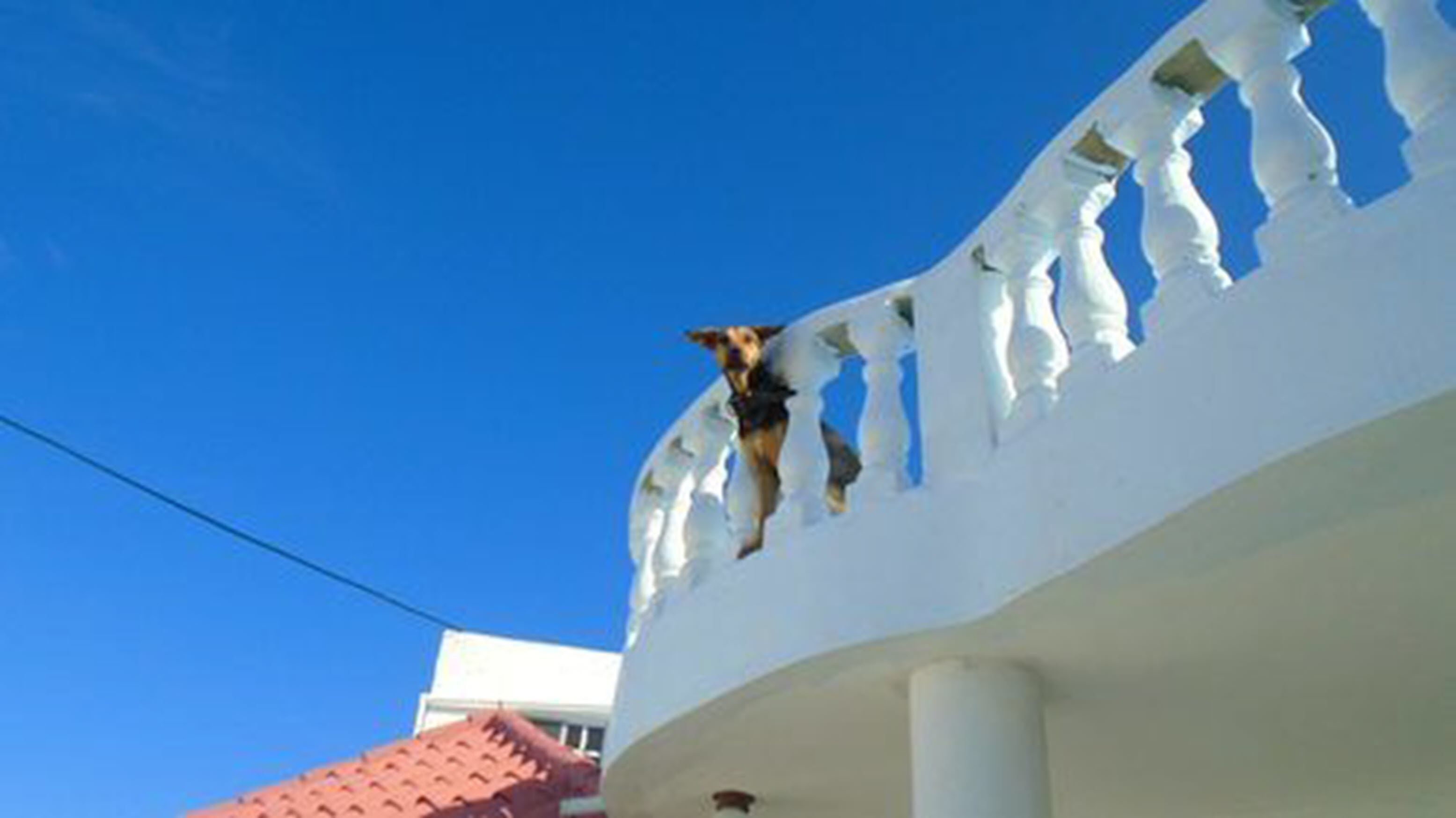 Foto - Guesthouse Villa La Isla