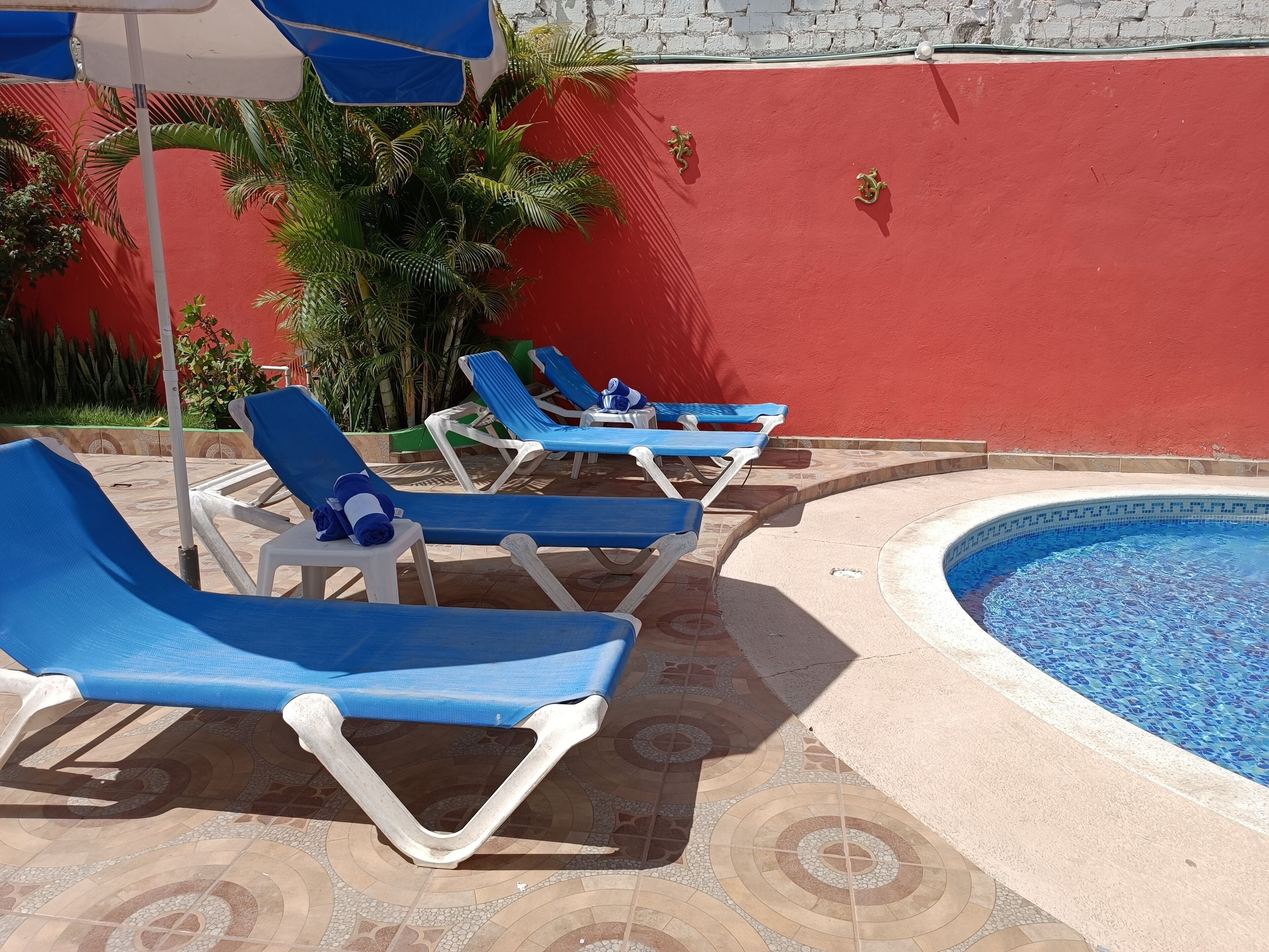 A poolside area with blue lounge chairs and a red wall.
