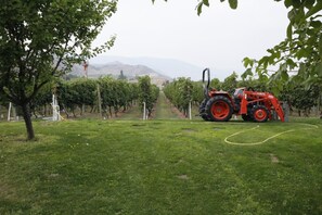 Property grounds - Sonora Desert Inn (Osoyoos)