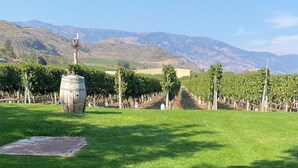A vineyard with rows of grapevines, a wooden barrel, and a clear view of distant mountains. - Sonora Desert Inn (Osoyoos)