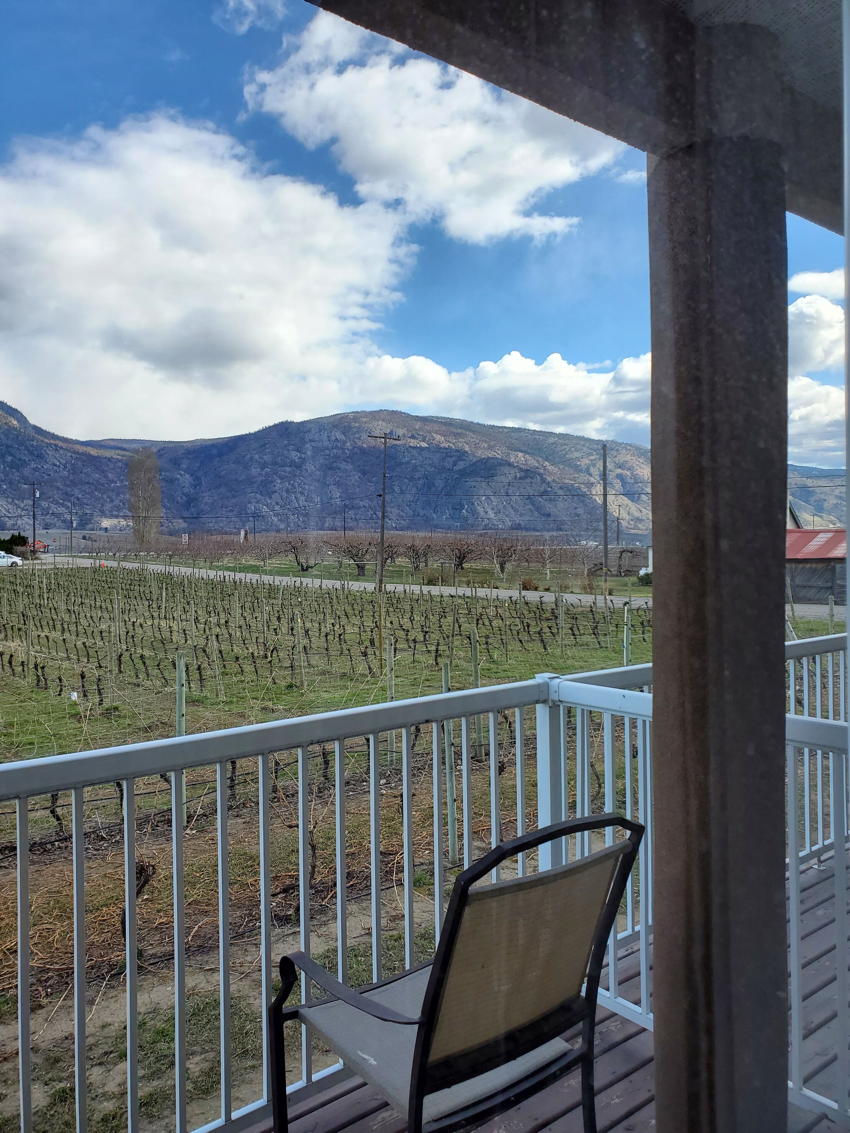 Phòng dành cho gia đình, nhiều giường, quang cảnh vườn nho | Hiên