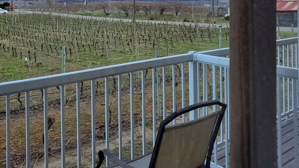 A balcony with a view of a vineyard and mountains. - Sonora Desert Inn (Osoyoos)
