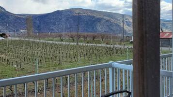 Familiekamer, Meerdere bedden, uitzicht op wijngaard | Terras