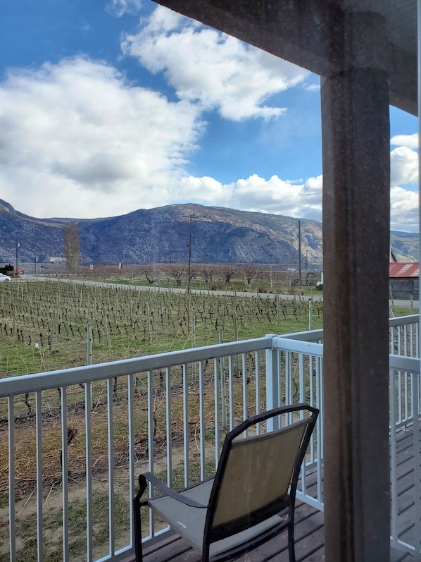 Familiekamer, Meerdere bedden, uitzicht op wijngaard | Terras