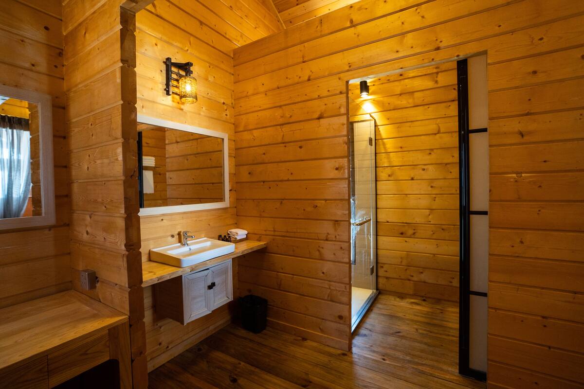 shower, free toiletries, hair dryer, slippers