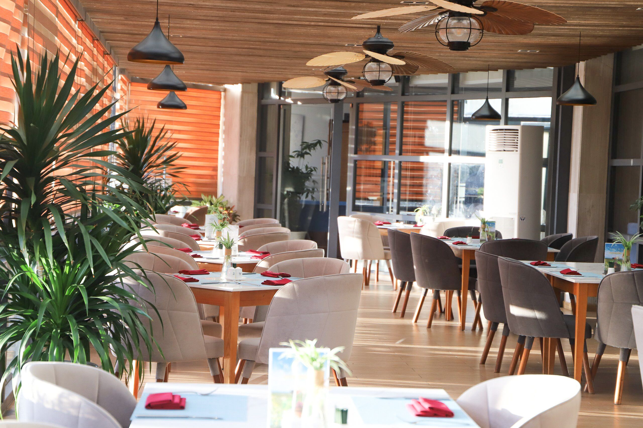 breakfast, lunch and dinner served