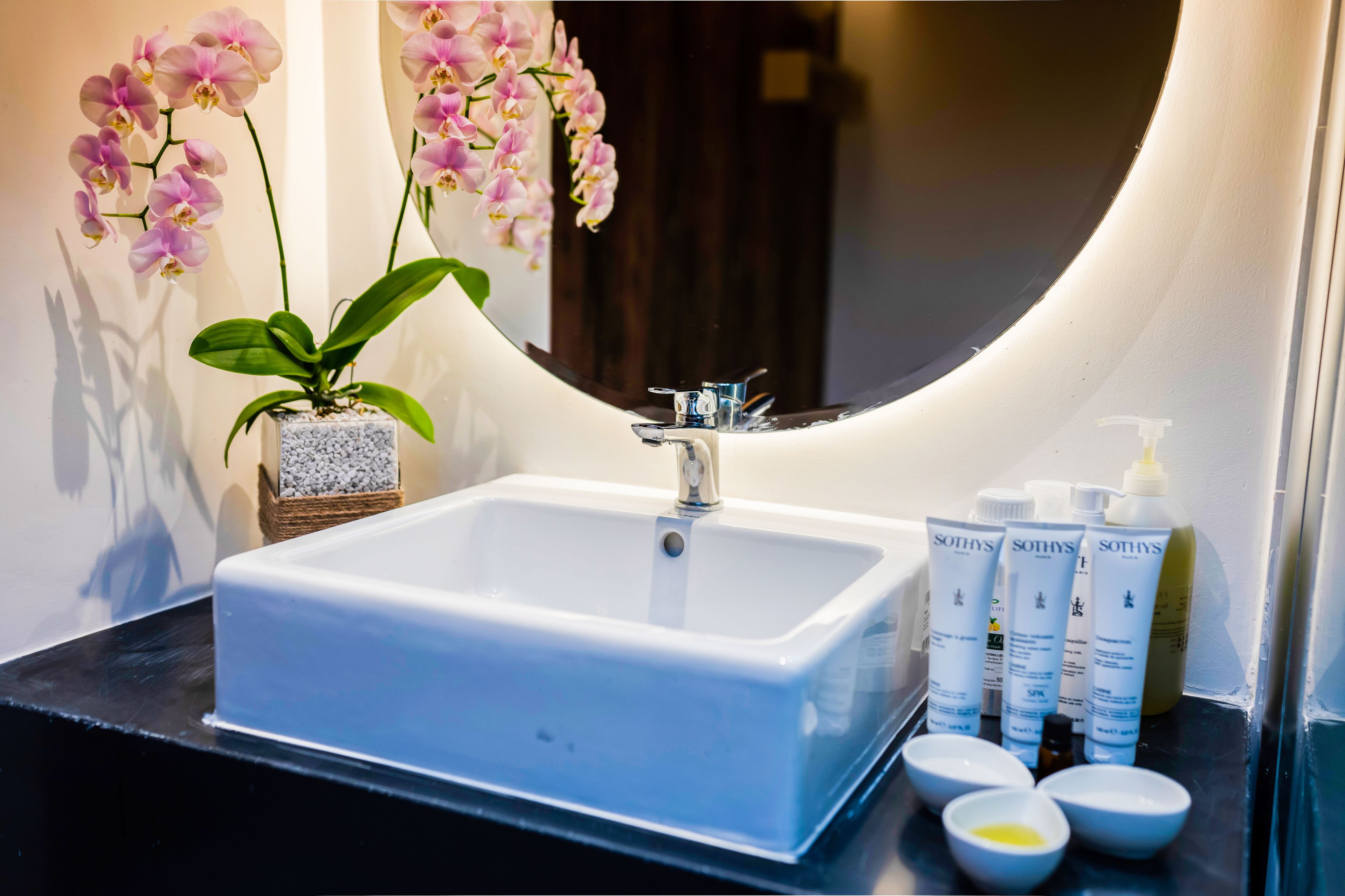 A bathroom with a white sink, a potted orchid, and toiletries on the counter.
