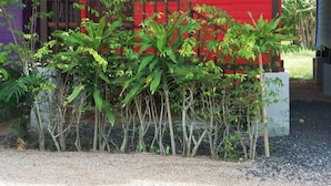 Unclassified image, 3 of 6, button - Khao Hua Bon Resort (Don Sak)
