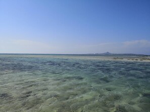 View from property - Minshuku SATO (Motobu)
