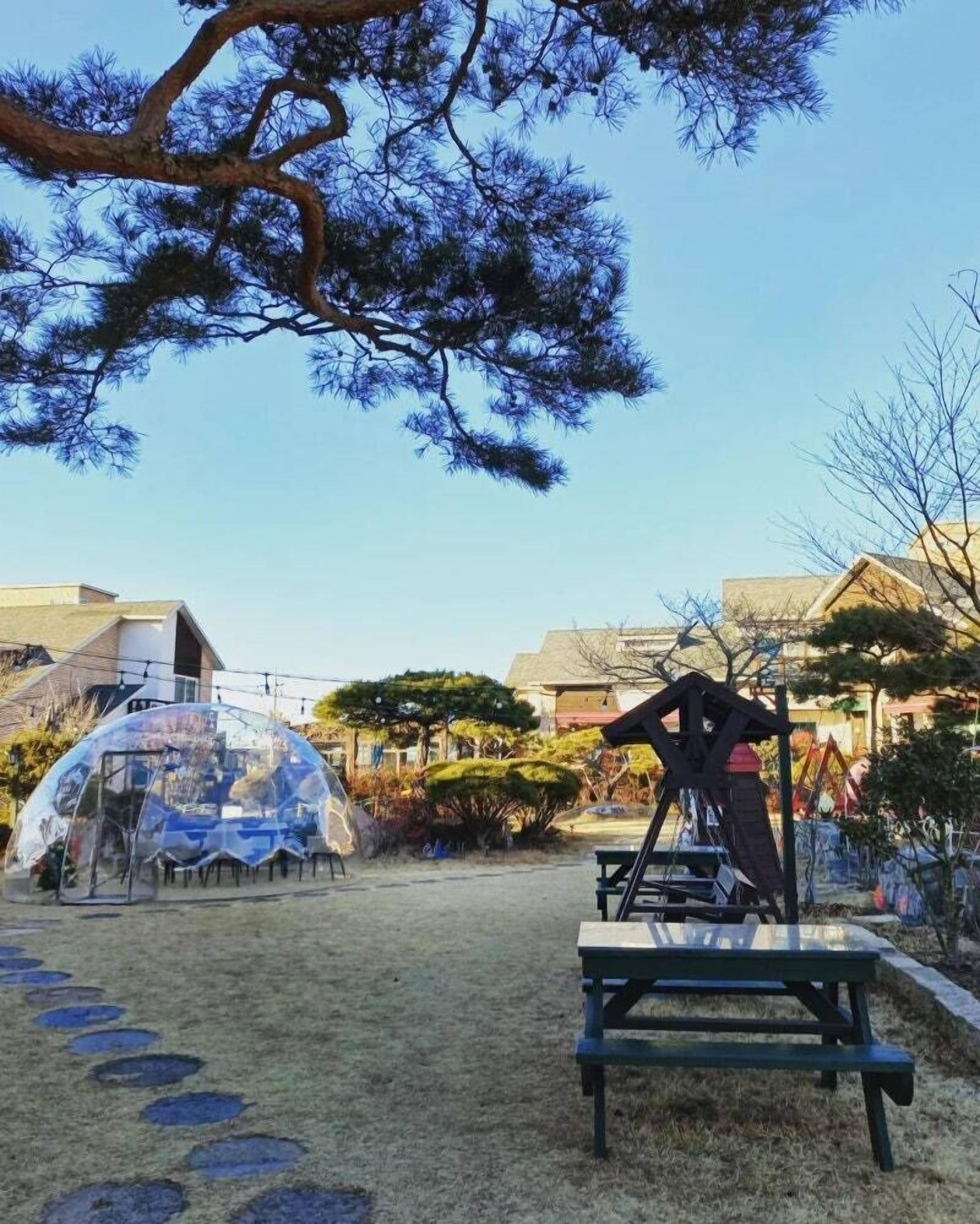 Un parque con una carpa transparente, un columpio de madera y un sendero de piedra.