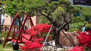 A garden with a swing set, a large rock, and red flowering bushes. - Gyeongju Orsay Pension (Gyeongju)