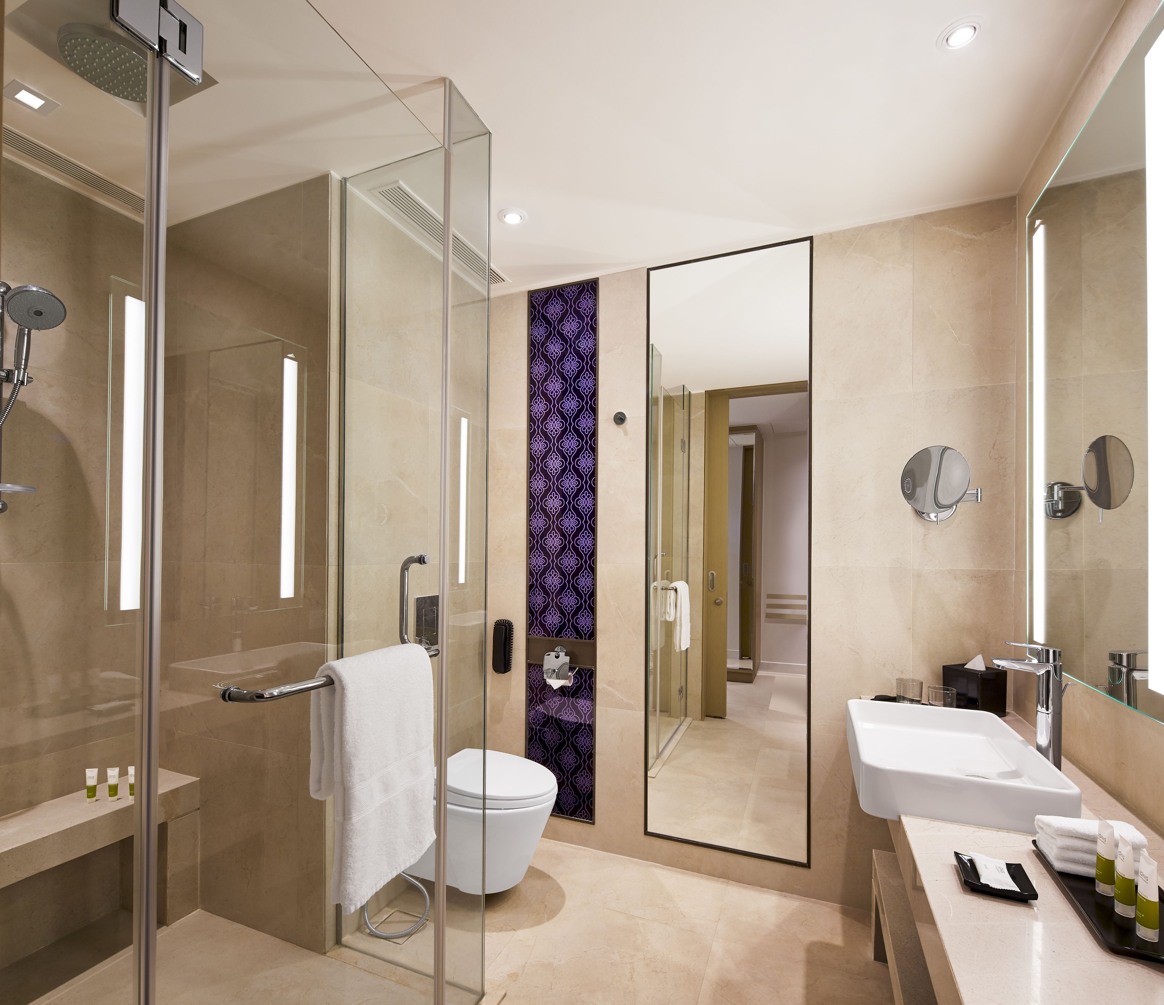 shower, hydromassage showerhead, free toiletries, hair dryer