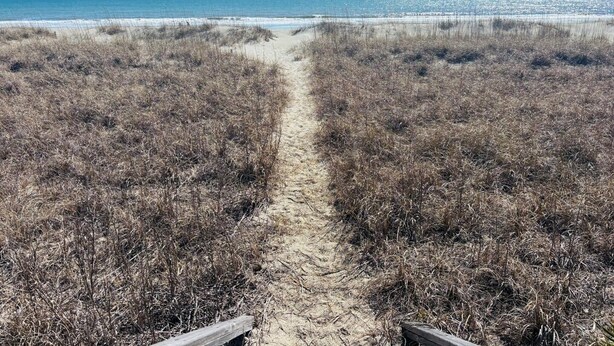 Um caminho de areia que leva a uma praia, com vegetação seca em ambos os lados.