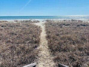 A sandy path leading to a beach with dry vegetation on either side.