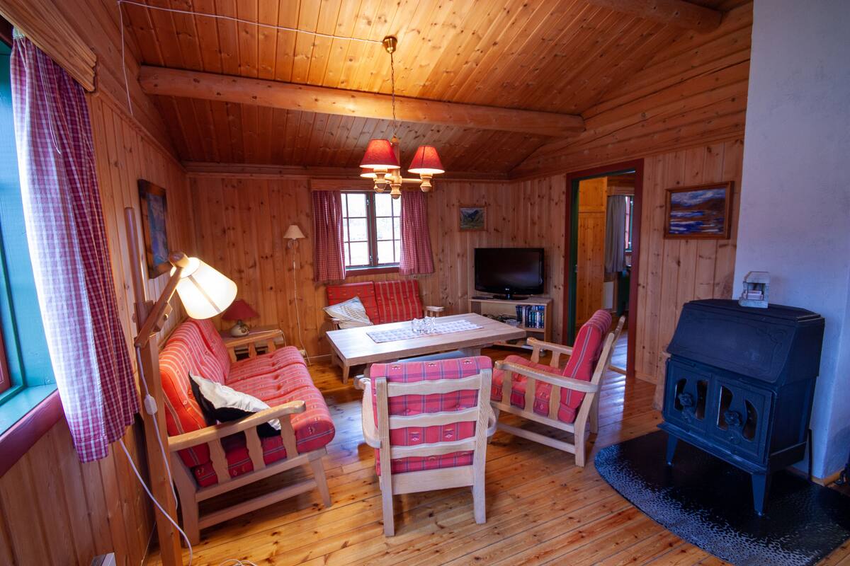 A cozy cabin interior with wooden walls, a dining table, chairs, a sofa, a television, and a wood-burning stove.