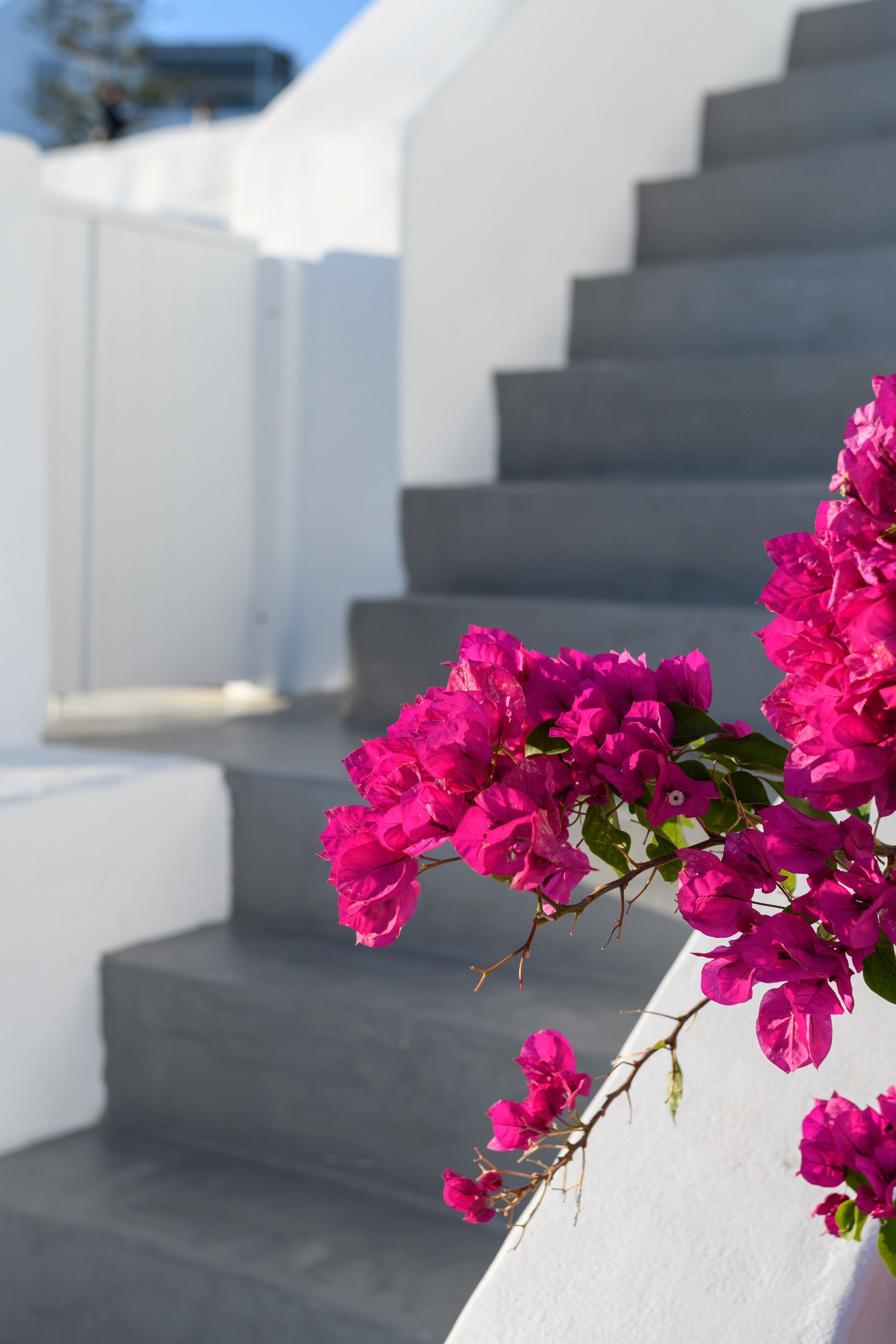 Photo - Echoes Luxury Suites