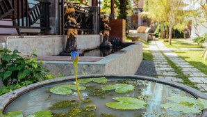 A garden with a pond, a statue, and a pathway. - Adil Villa and Resort (Ubud)