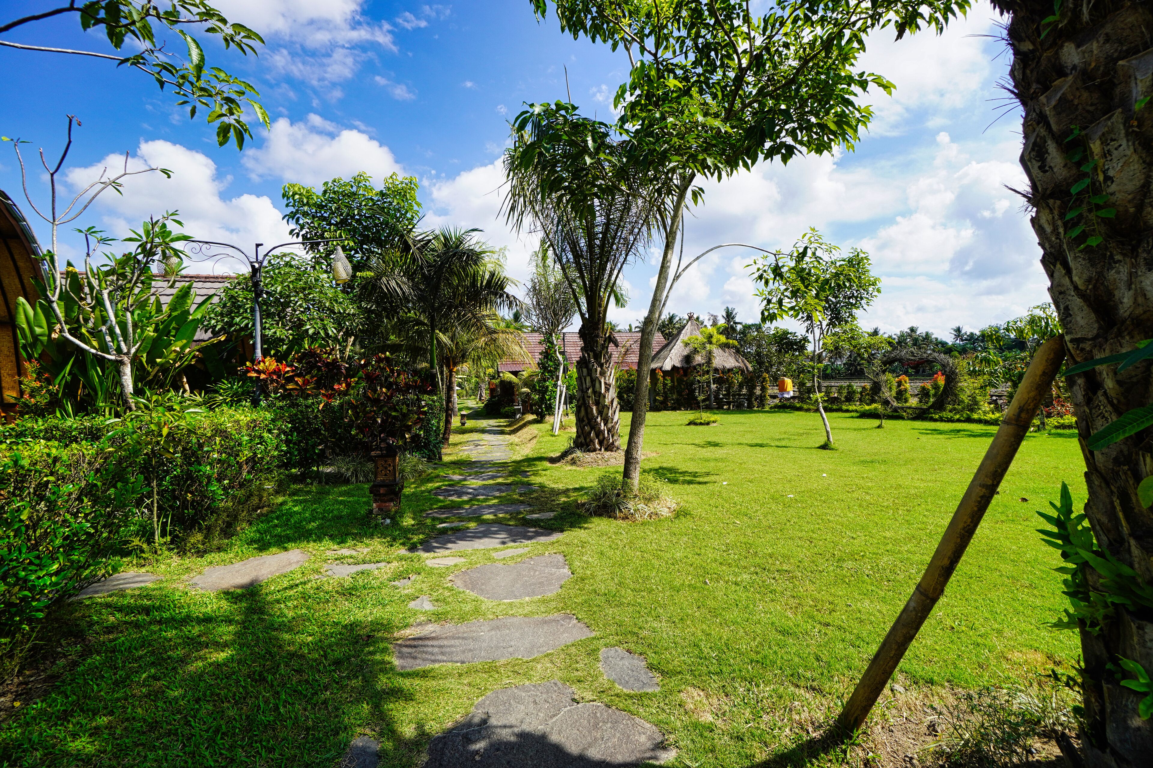 A garden pathway leading to a house with a thatched roof, surrounded by lush greenery and trees.