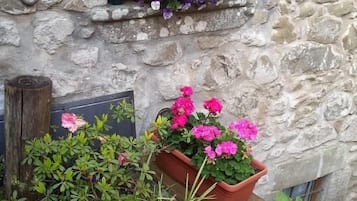 Dettaglio esterni