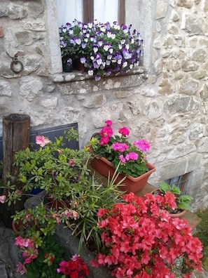 Detalle del exterior