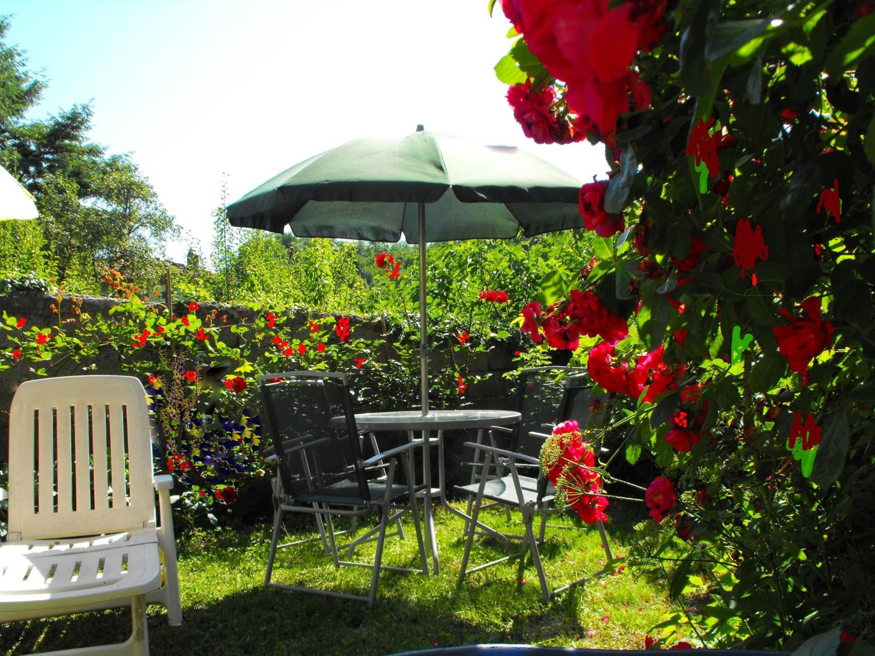 Un patio al aire libre con una mesa y sillas, rodeado de abundante follaje y flores rojas.