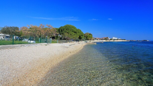 A pebble beach with clear water, a large tree, and buildings in the background. - Apartments Karla (Bibinje)