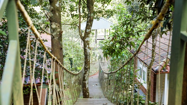 A suspension bridge in a lush, green environment with a tiled-roof building in the background. - Wayanad Ranches Resorts (Vythiri)