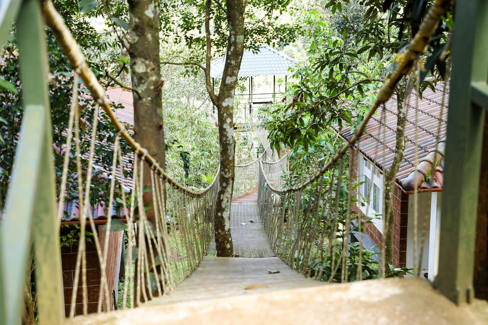 Wayanad Ranches Resorts - Chulliyode