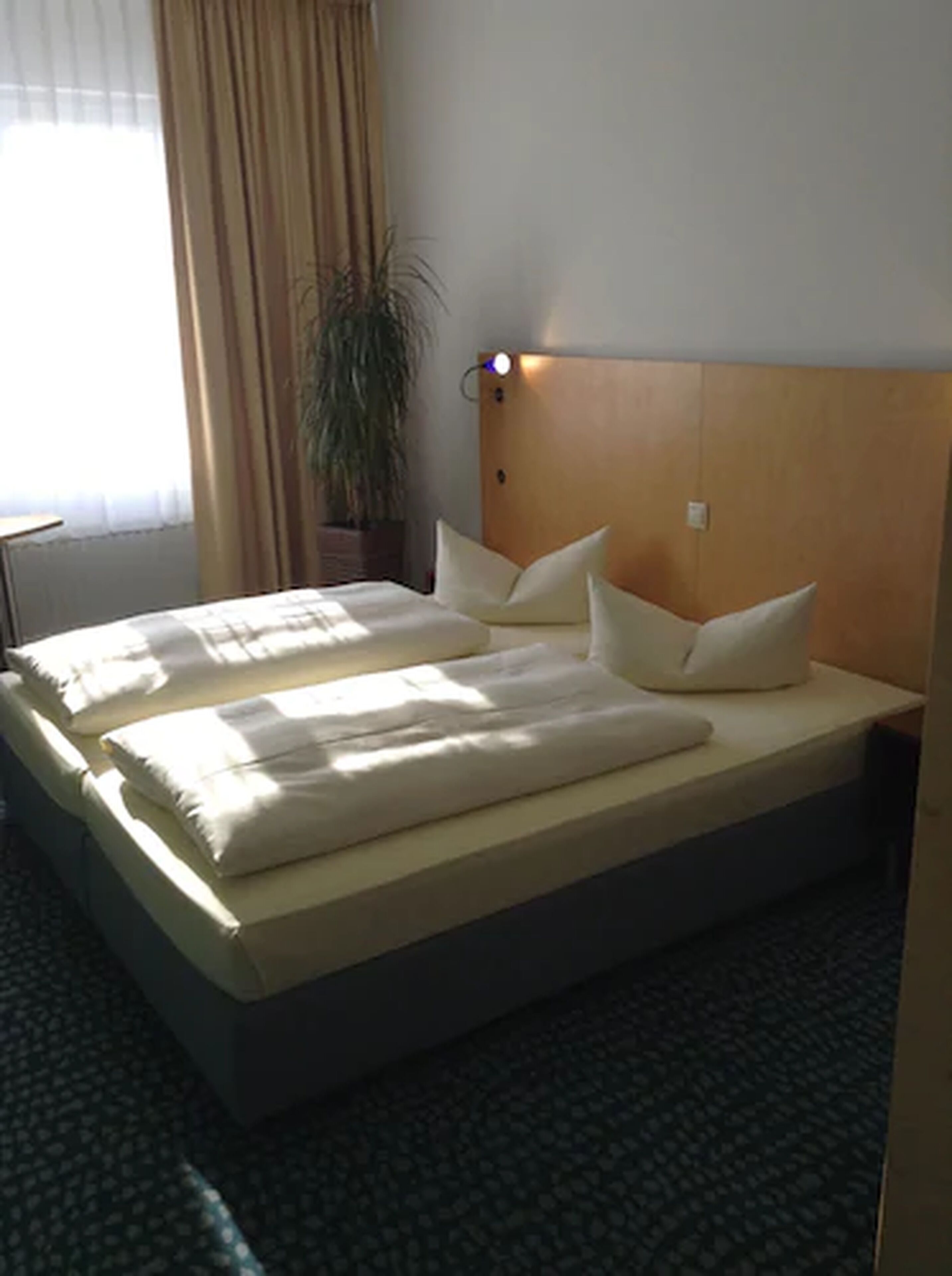 A hotel room with a large bed, a headboard with a light, a potted plant, and a window with curtains.