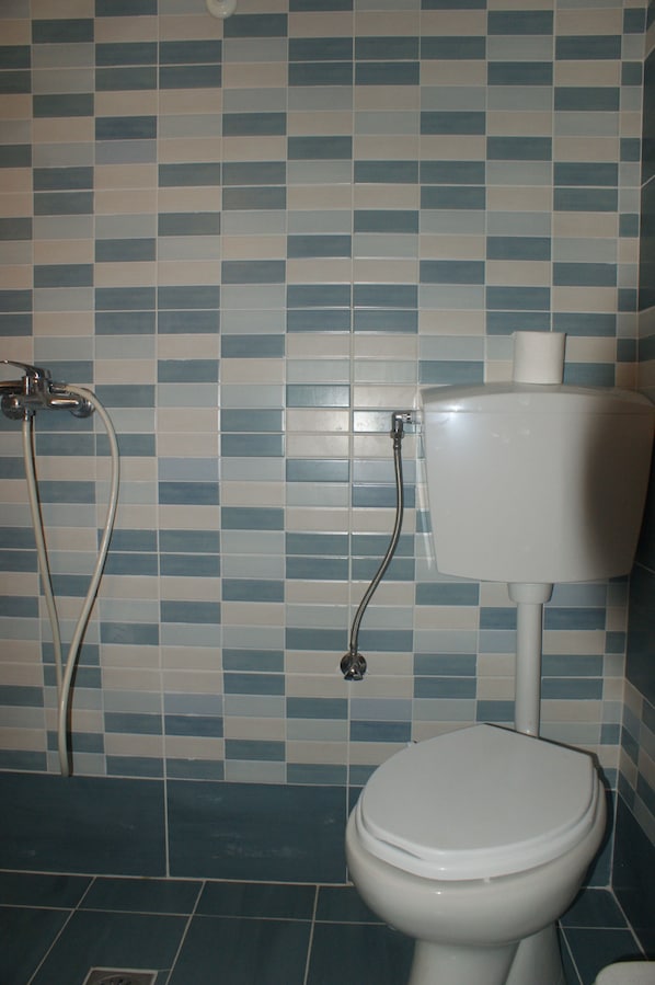 Une salle de bain avec des toilettes et une douche.