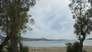 Une plage de sable, une étendue d’eau et des arbres.