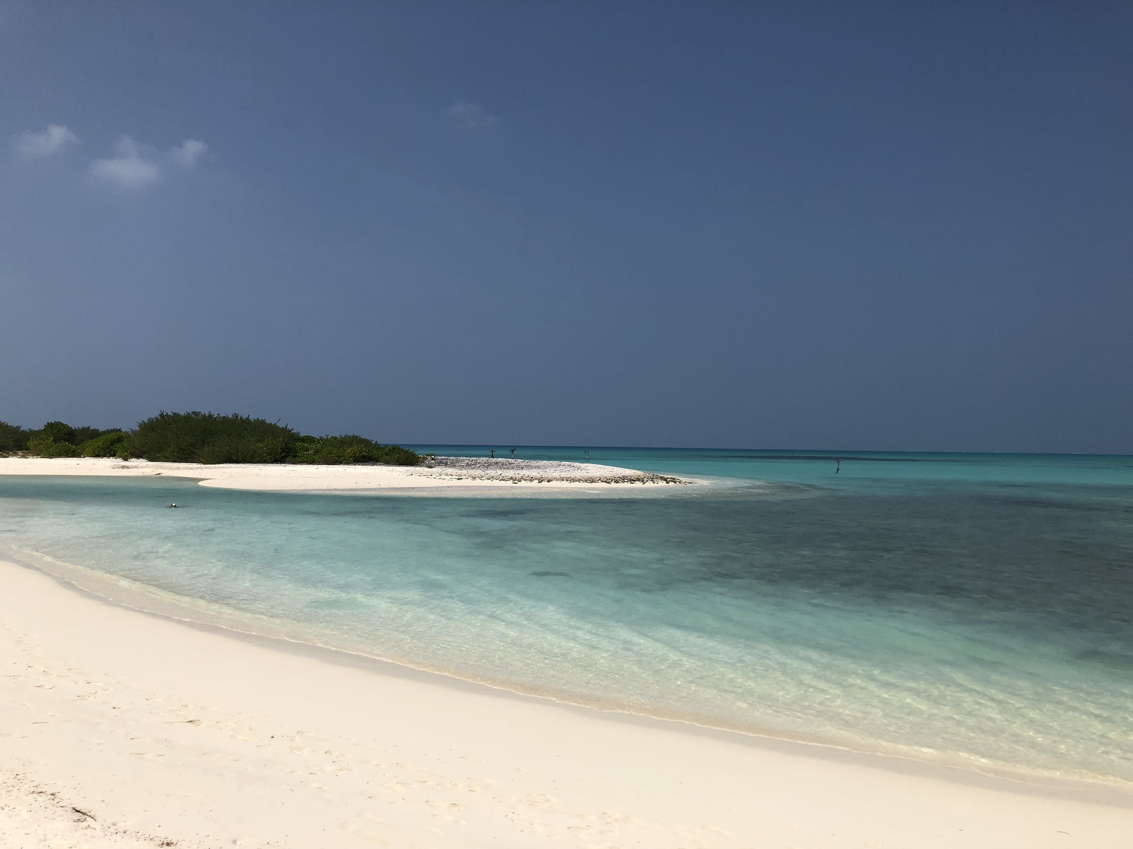 A beach with clear turquoise water, white sand, and a small island with vegetation.