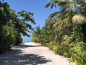 Property grounds - Tropical Sands Kelaa (Kelaa)