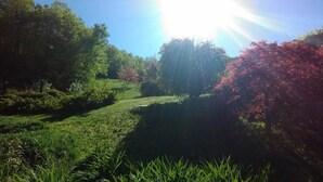 Un giardino rigoglioso con diverse alberature e arbusti, un prato curato e un cielo sereno.