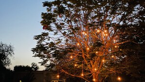 Un arbre décoré de guirlandes lumineuses, une enseigne pour un restaurant et une signalétique pour le hall d'entrée.