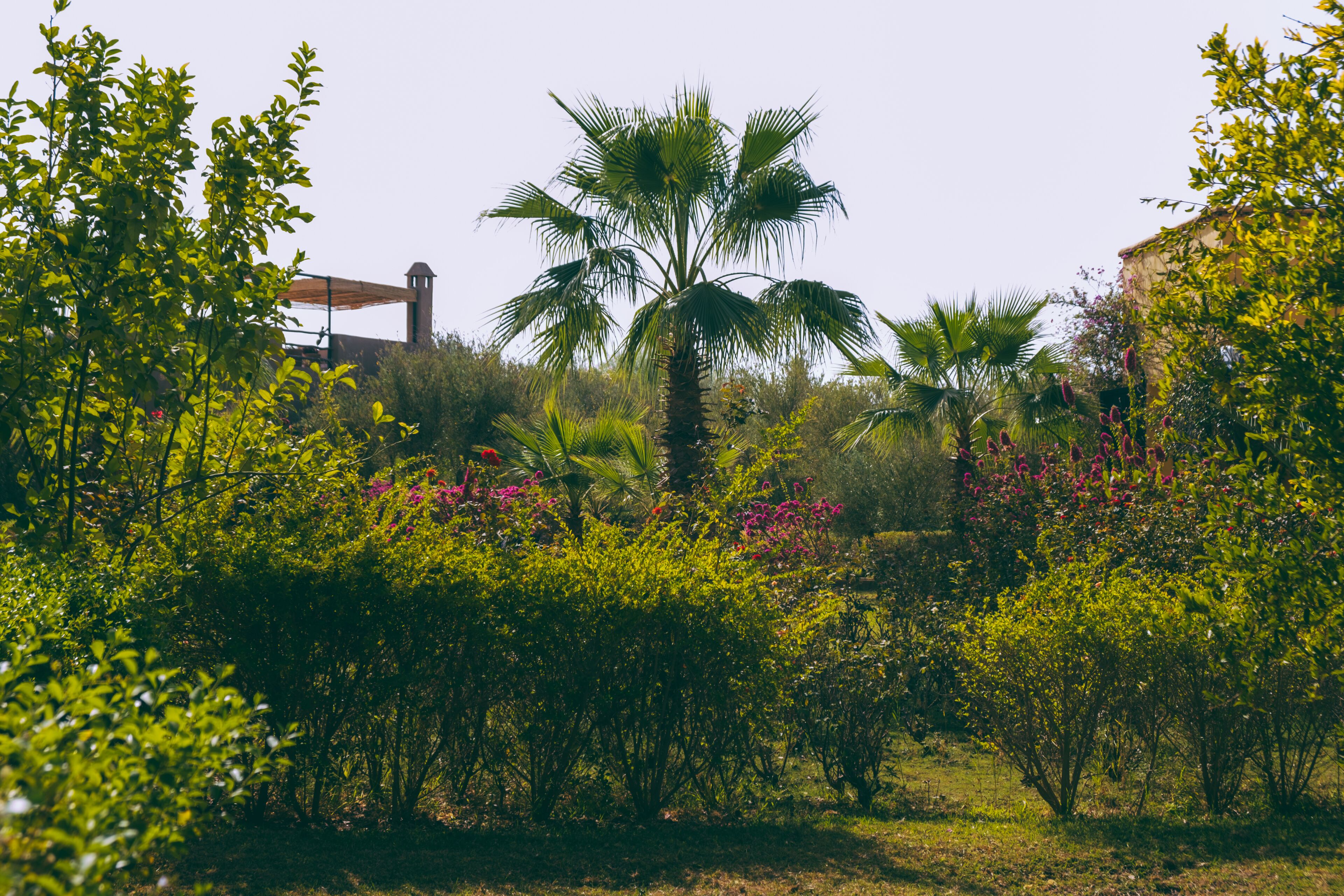 Foto - Fawakay Villas