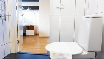 Shower, towels, toilet paper