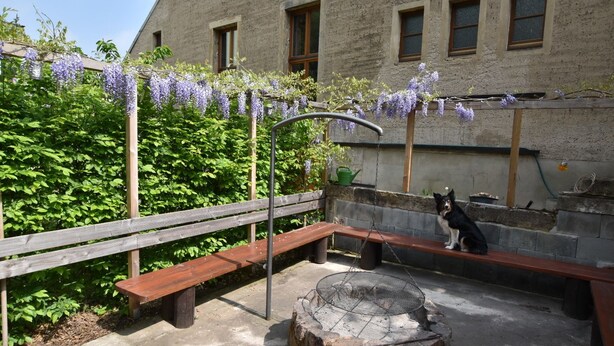 Een terras buiten met houten banken, een bloemenrank en een hond die op een bank zit.