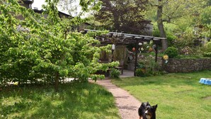 Een tuin met een hond, een houten pergola en een stenen muur.