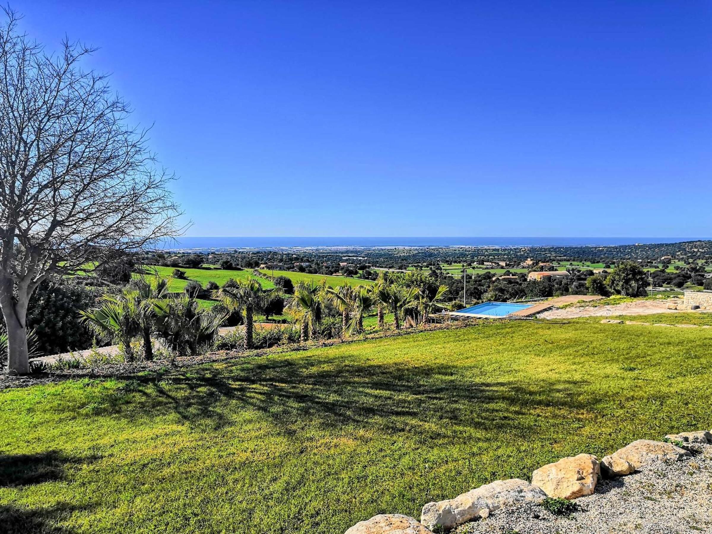 A grassy landscape with a clear blue sky, a large tree, and a distant view of a body of water and buildings.