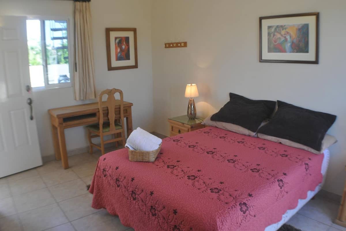 Basic Room, 1 Queen Bed, Non Smoking, City View | Desk, WiFi (free), bed sheets